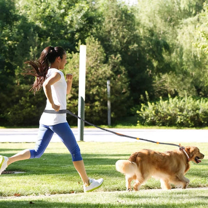 VibeRun™ Running & Walking Dog Leash