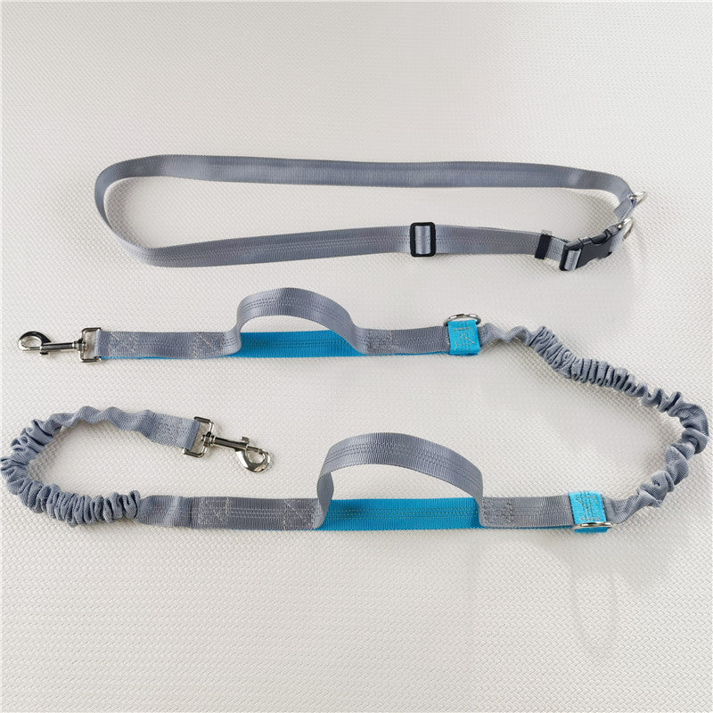 VibeRun™ Running & Walking Dog Leash