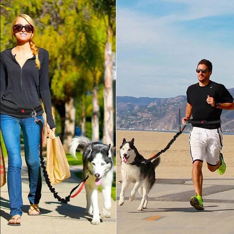 VibeRun™ Running & Walking Dog Leash
