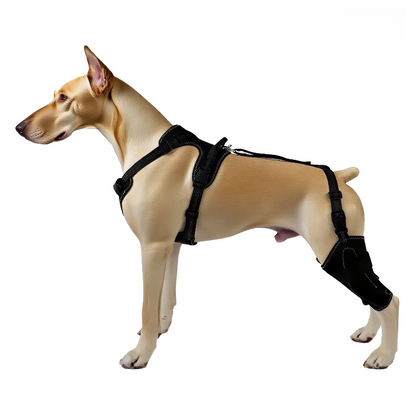 VibeProtect™ Dog Leg Protective Gear Double Support