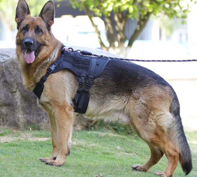 VibeTactic™ Dog Tactical Chest Harness