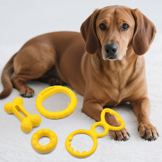 VibeChew™ EVA Teething & Chew Dog Toy