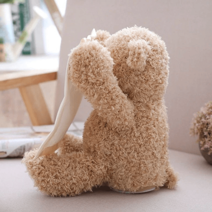 DropVibeHub Peek A Boo Bear