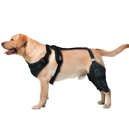 VibeProtect™ Dog Leg Protective Gear Double Support