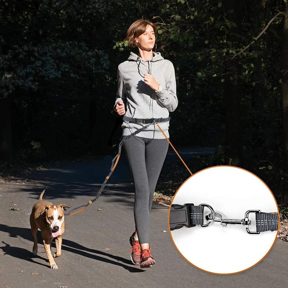 VibeRun™ Running & Walking Dog Leash